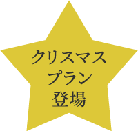 クリスマスプラン