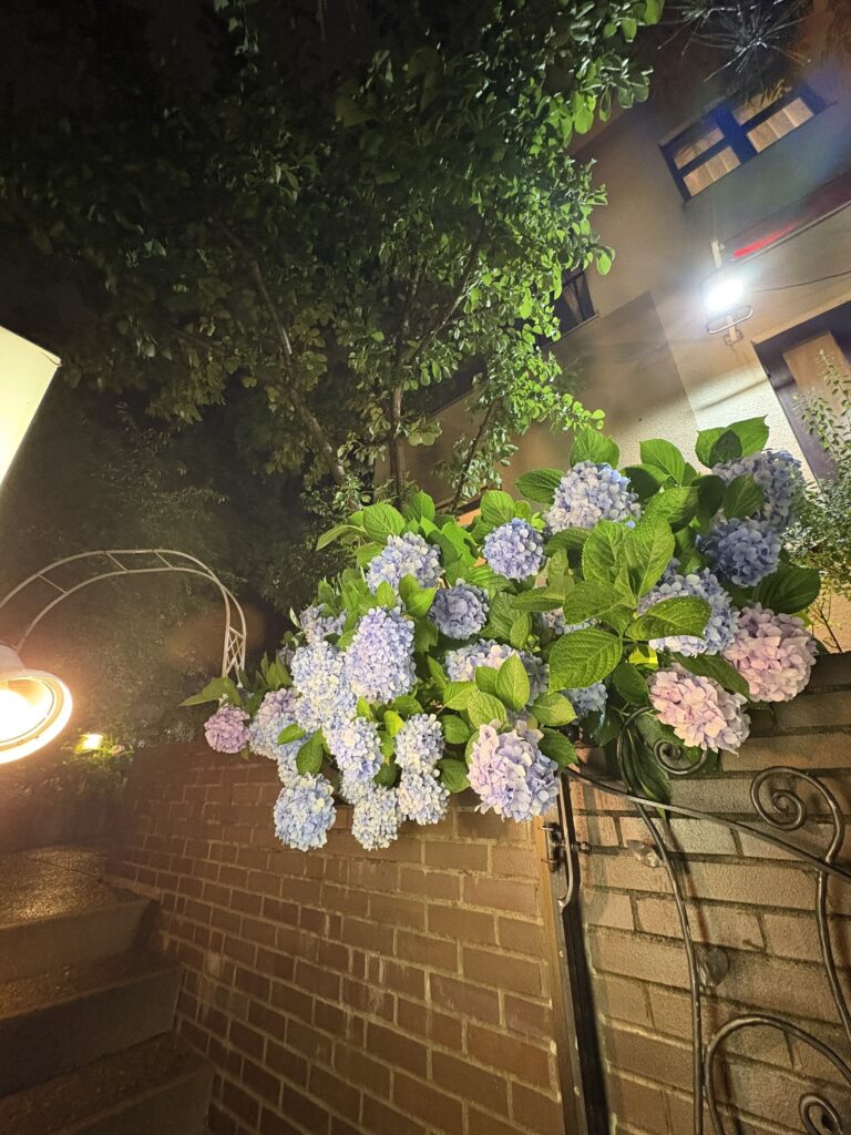 1439組目のプロポーズが花の館 パラディ北野で成功されました。