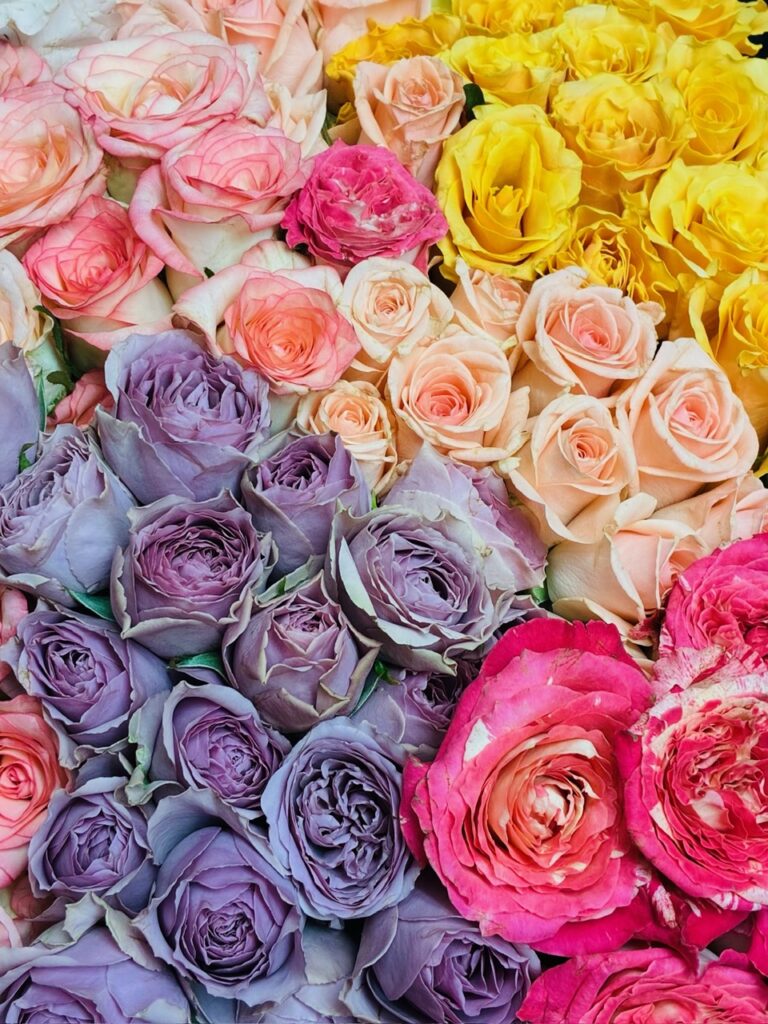1476組目のプロポーズが花の館 パラディ北野で成功されました。